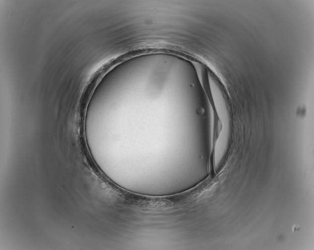 X0000090860979200708101216