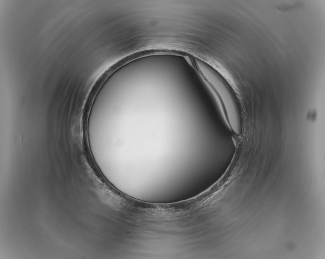 X0000090860980200708101216