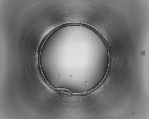 X0000090860982200708101216