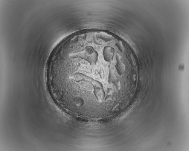 X0000090860983200708101216