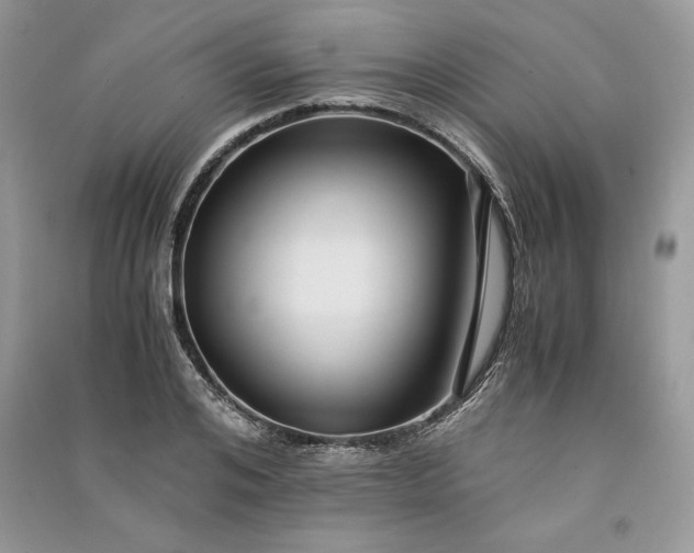 X0000090860984200708101216