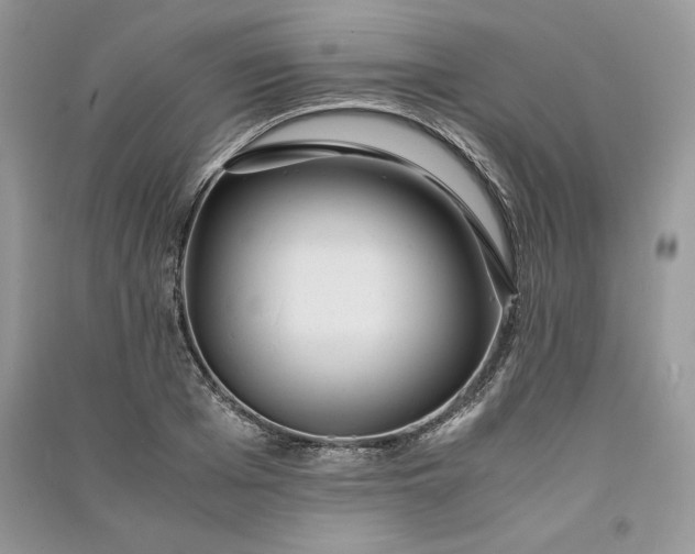 X0000090860985200708101216