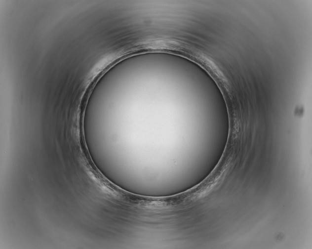 X0000090860986200708101216