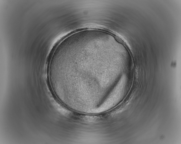 X0000090860987200708101216