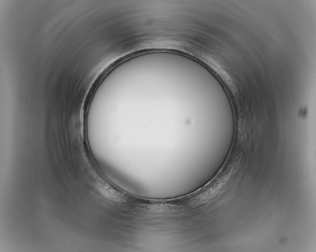 X0000090860988200708101216