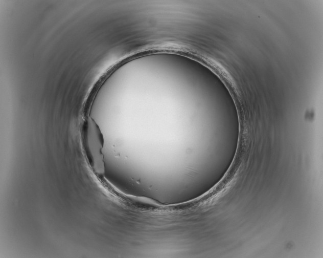 X0000090860989200708101216