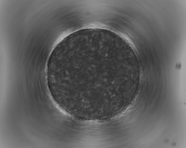 X0000090860990200708101216