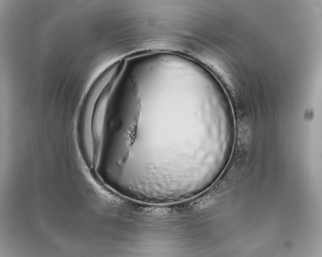 X0000090860991200708101215