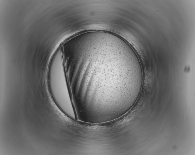 X0000090860992200708101215