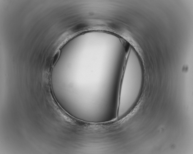 X0000090860993200708101215