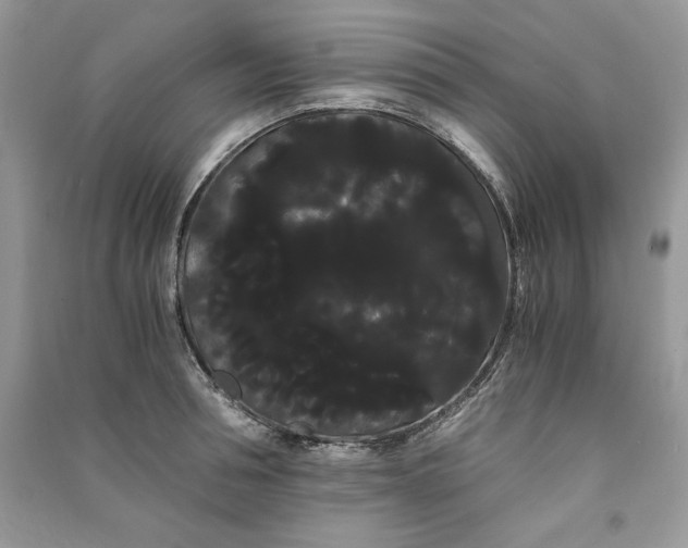 X0000090860994200708101215