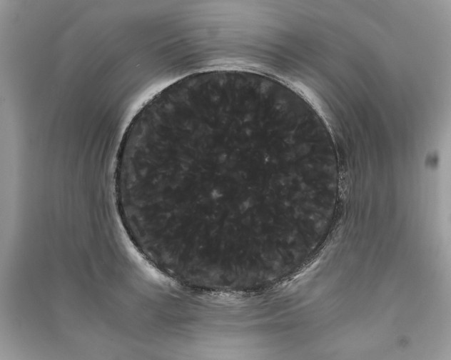 X0000090860995200708101215