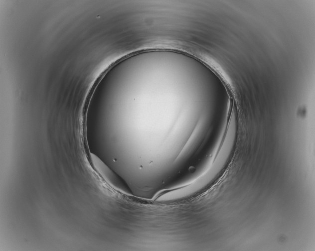 X0000090860996200708101215