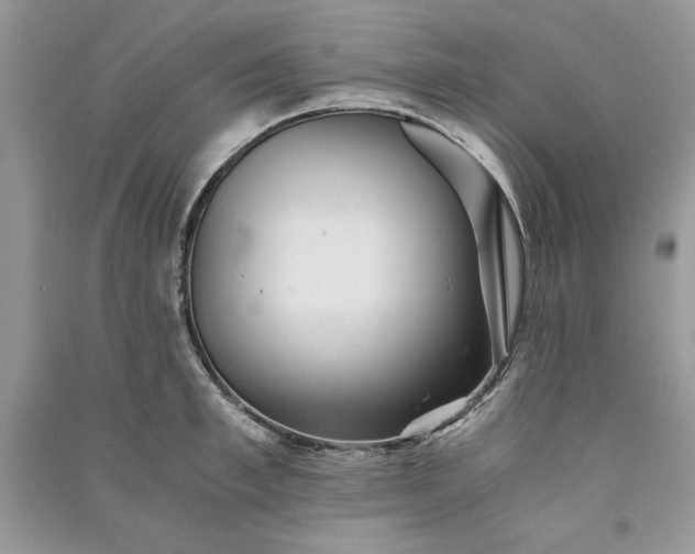 X0000090860997200708101215