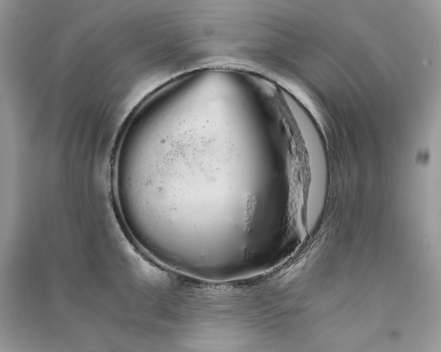 X0000090860999200708101215