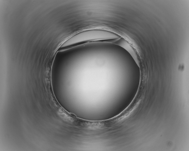 X0000090861001200708101215