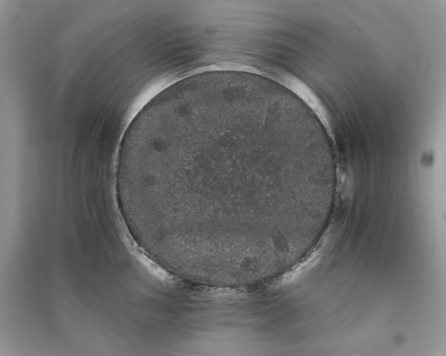 X0000090861002200708101215