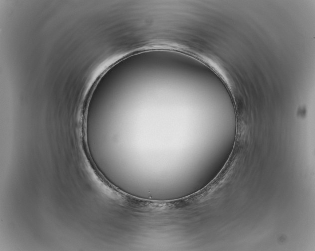 X0000090861003200708101215