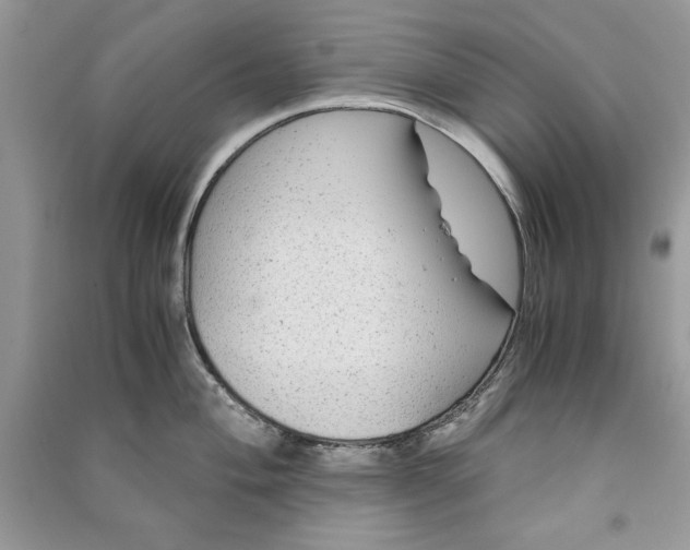 X0000090861004200708101215