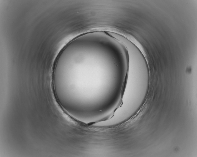 X0000090861005200708101215