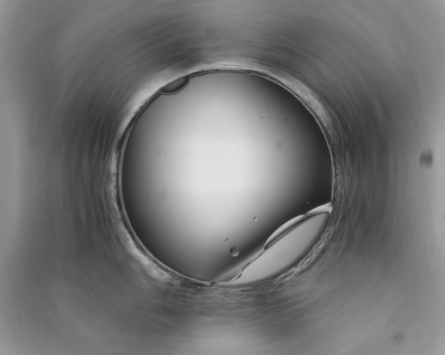 X0000090861006200708101215