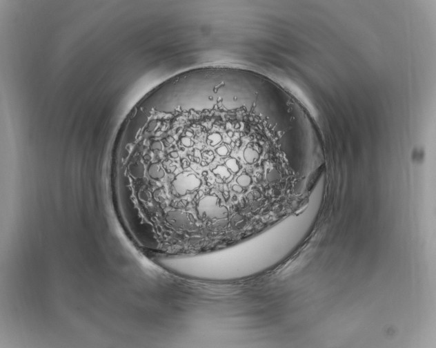 X0000090861007200708101215