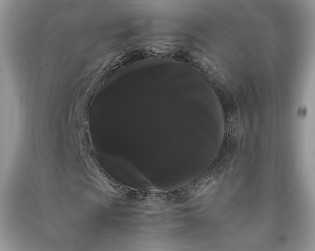 X0000090861009200708101215