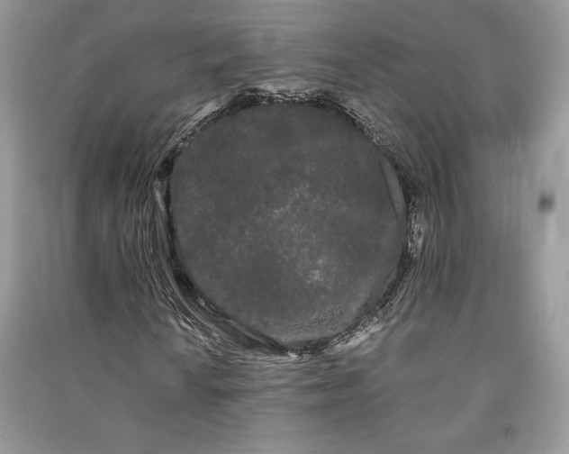 X0000090861010200708101215