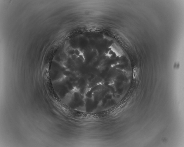 X0000090861011200708101215