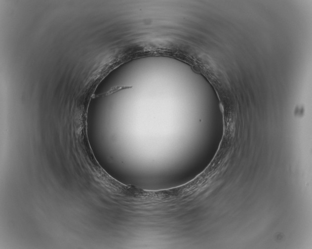 X0000090861012200708101215