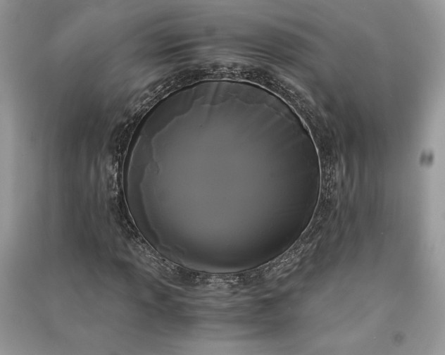 X0000090861013200708101215