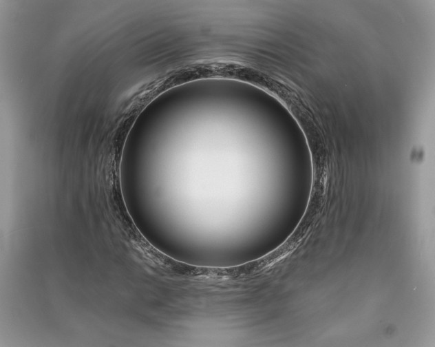 X0000090861014200708101215