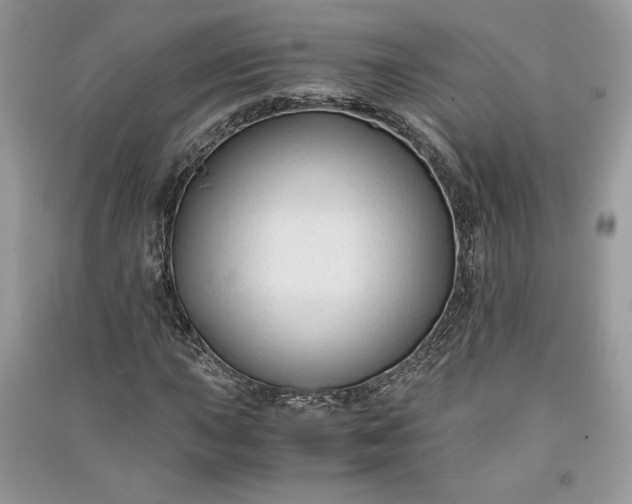 X0000090861015200708101215