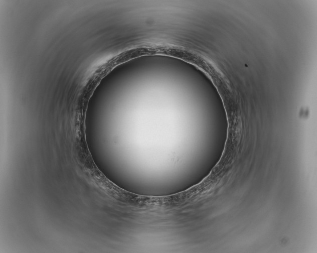 X0000090861016200708101215