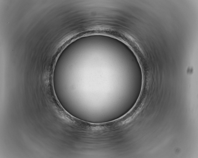 X0000090861017200708101215