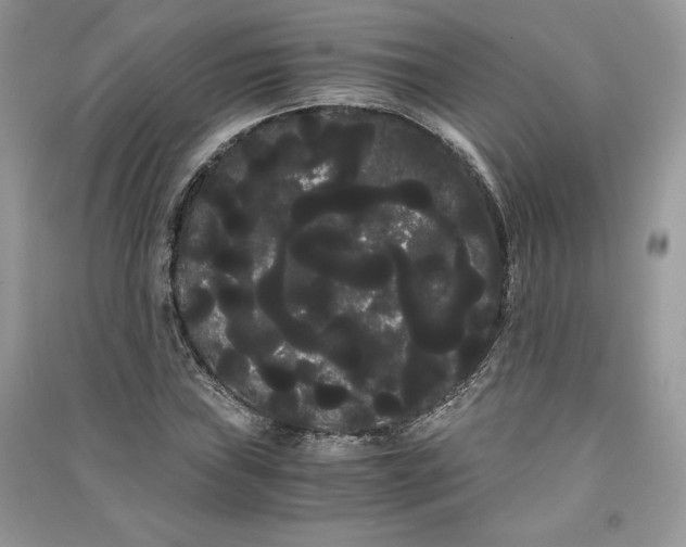 X0000090861019200708101215