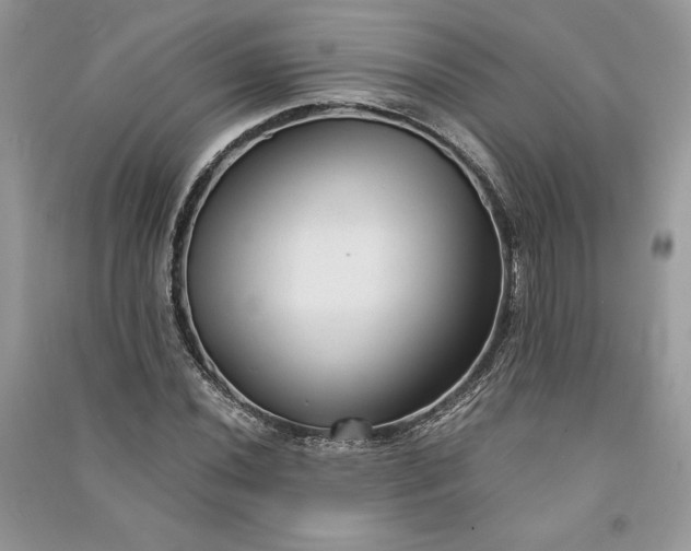 X0000090861020200708101215