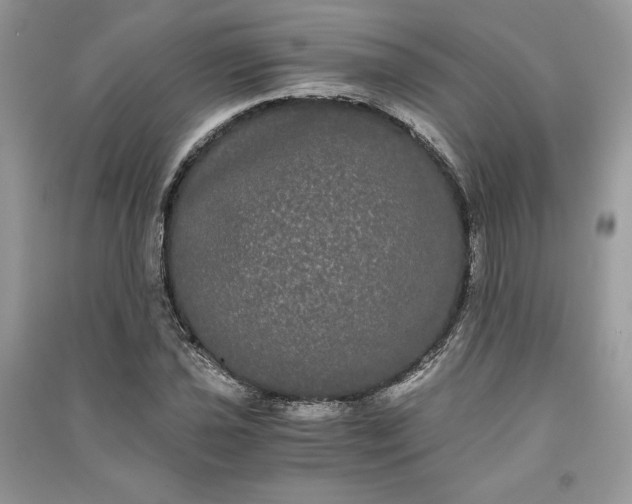 X0000090861021200708101215