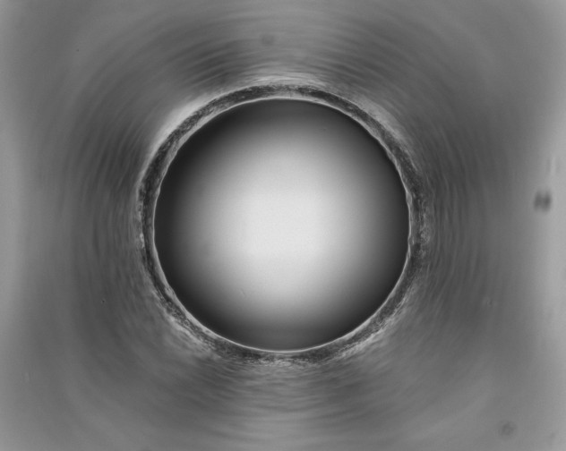 X0000090861022200708101215