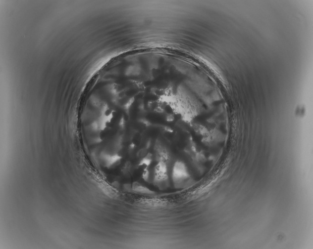 X0000090861023200708101215