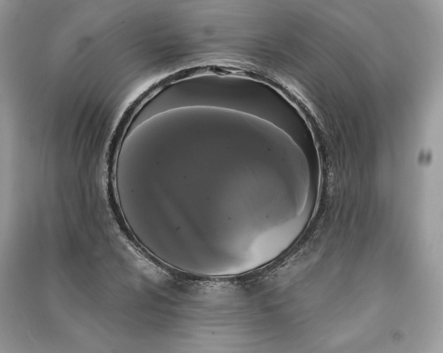 X0000090861024200708101215