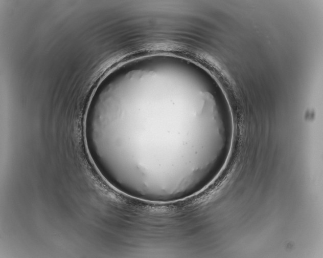 X0000090861025200708101215