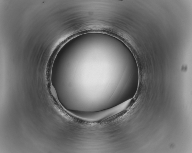 X0000090861026200708101215