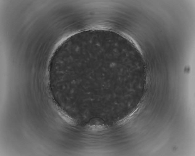 X0000090861027200708101215