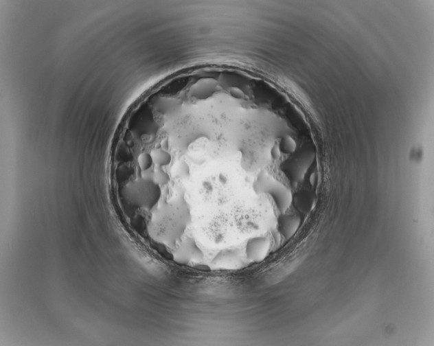 X0000090861028200708101215