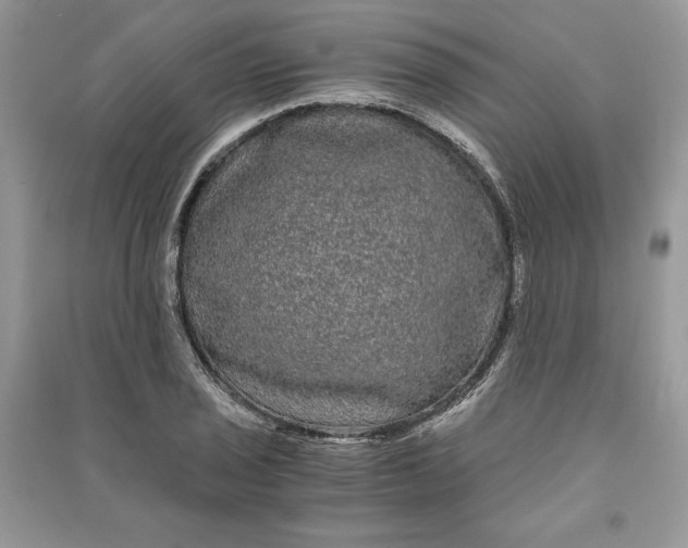 X0000090861029200708101215