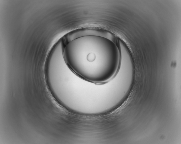 X0000090861030200708101215