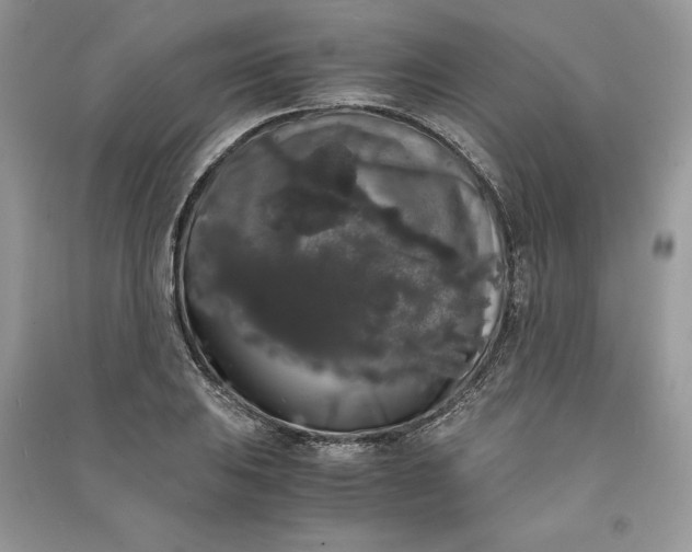 X0000090861031200708101215