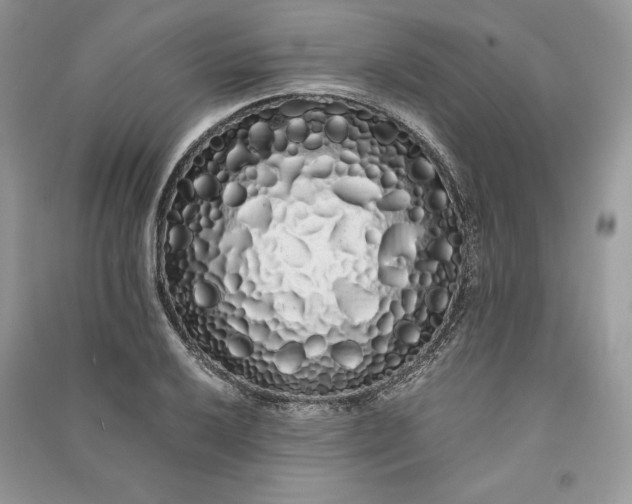 X0000090861032200708101215