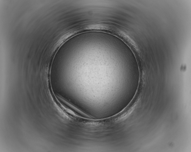 X0000090861033200708101215